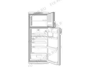 Холодильник Gorenje RF6325EC (157025, HZS3266) - Фото